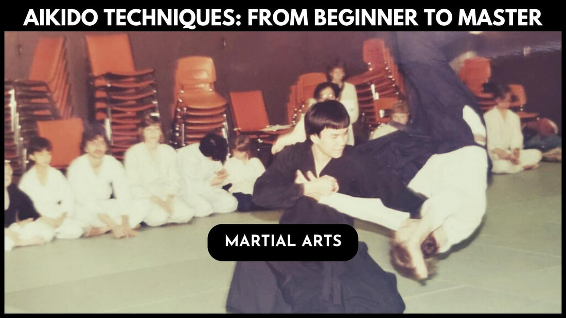 Aikido Techniques: From Beginner to Master