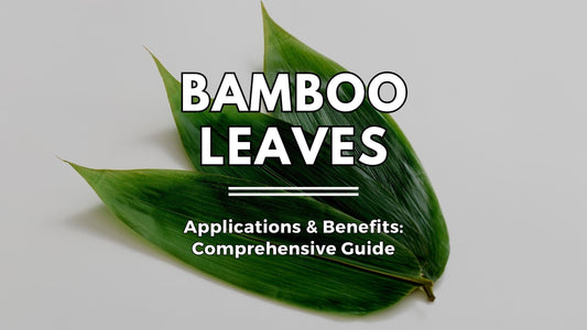 Bamboo Leaves