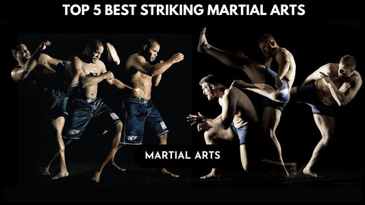 Best Kicking Martial Art : Top 5 Objective Analysis