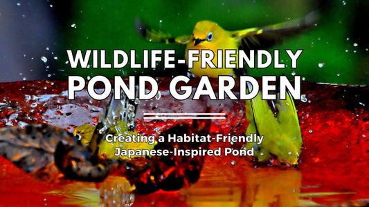 Create a Wildlife-Friendly Japanese Pond