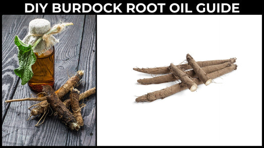 DIY Burdock Root Oil: A Step-by-Step Guide for Radiant Skin