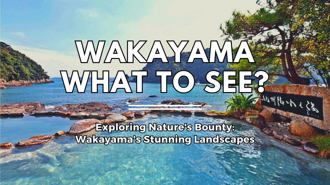 Exploring Nature's Bounty: Wakayama's Stunning Landscapes