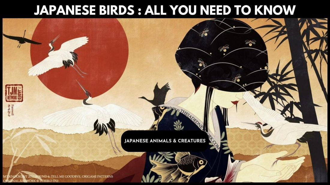 Japanese Birds : All You Need To Know