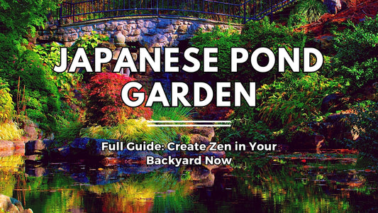 Japanese Pond Full Guide: Create Zen in Your Backyard Now