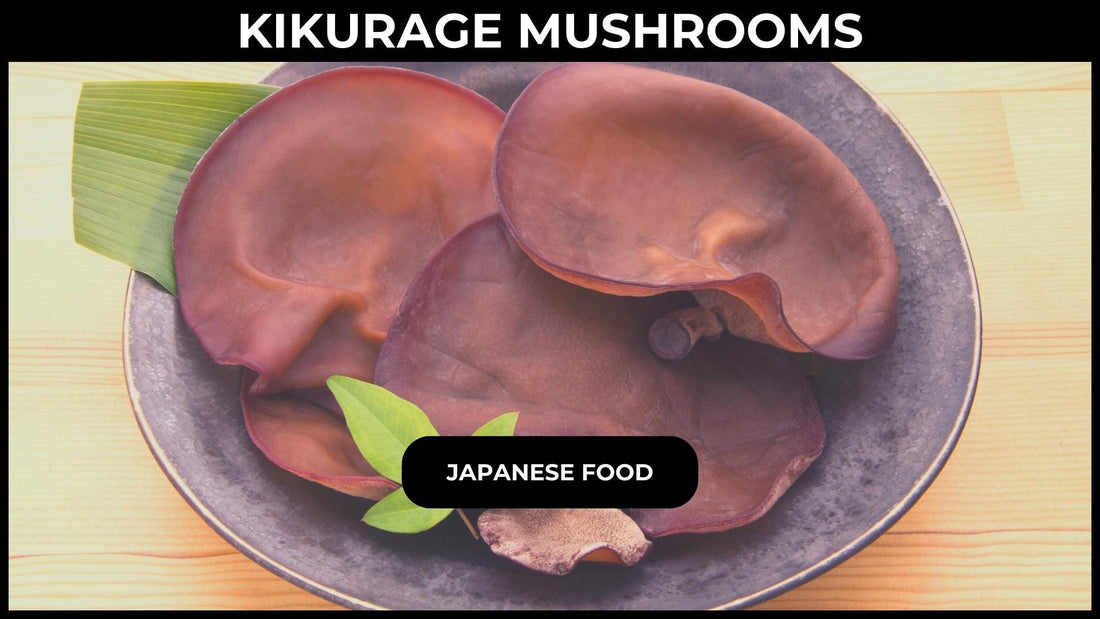 Kikurage Mushrooms