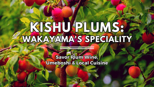 Kishu Plums: Wakayama's Regional Specialty