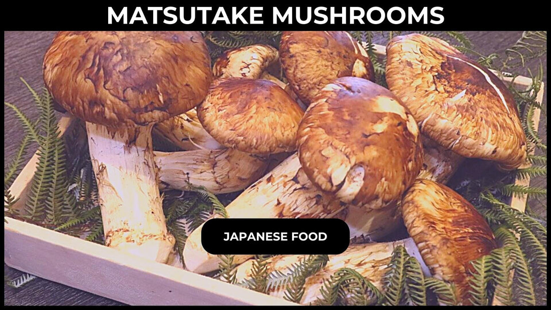 Matsutake Mushrooms