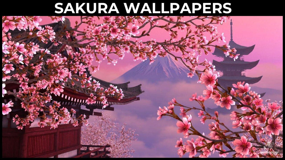 Sakura Wallpaper