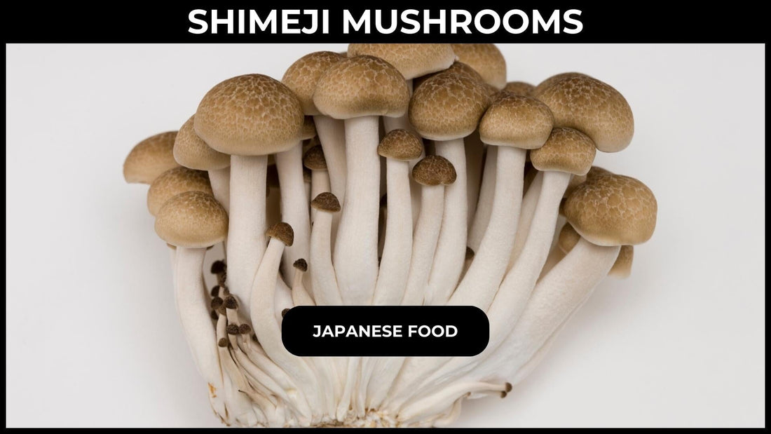 Shimeji Mushrooms