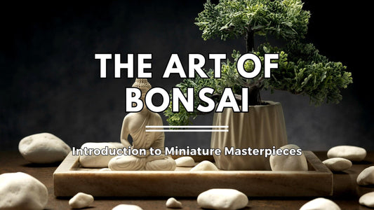 The Art of Bonsai: Introduction to Miniature Masterpieces