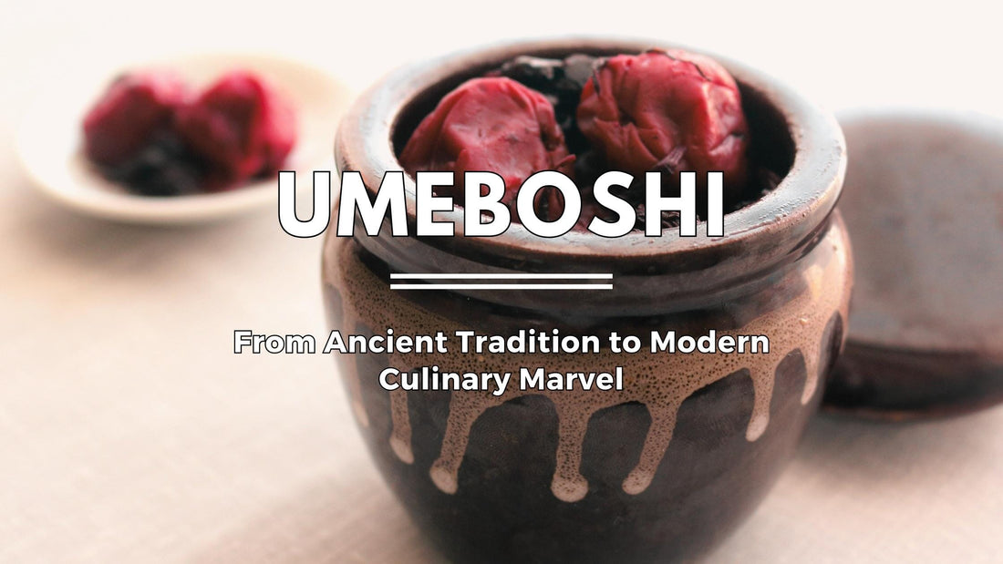 Umeboshi: From Ancient Tradition to Modern Culinary Marvel