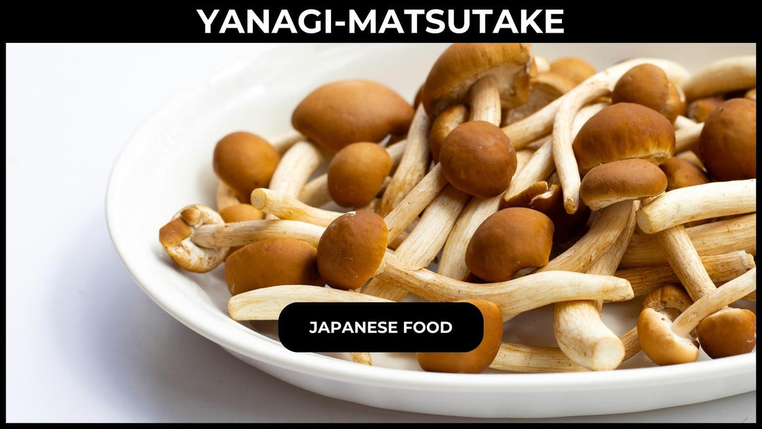 Yanagi-matsutake